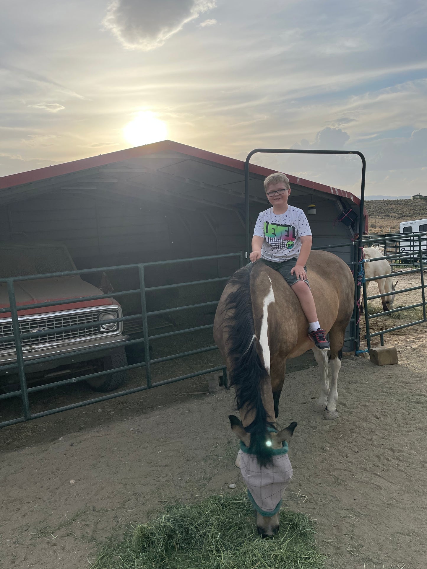 Basic Horse Riding for Kids 17 and Under IN PERSON