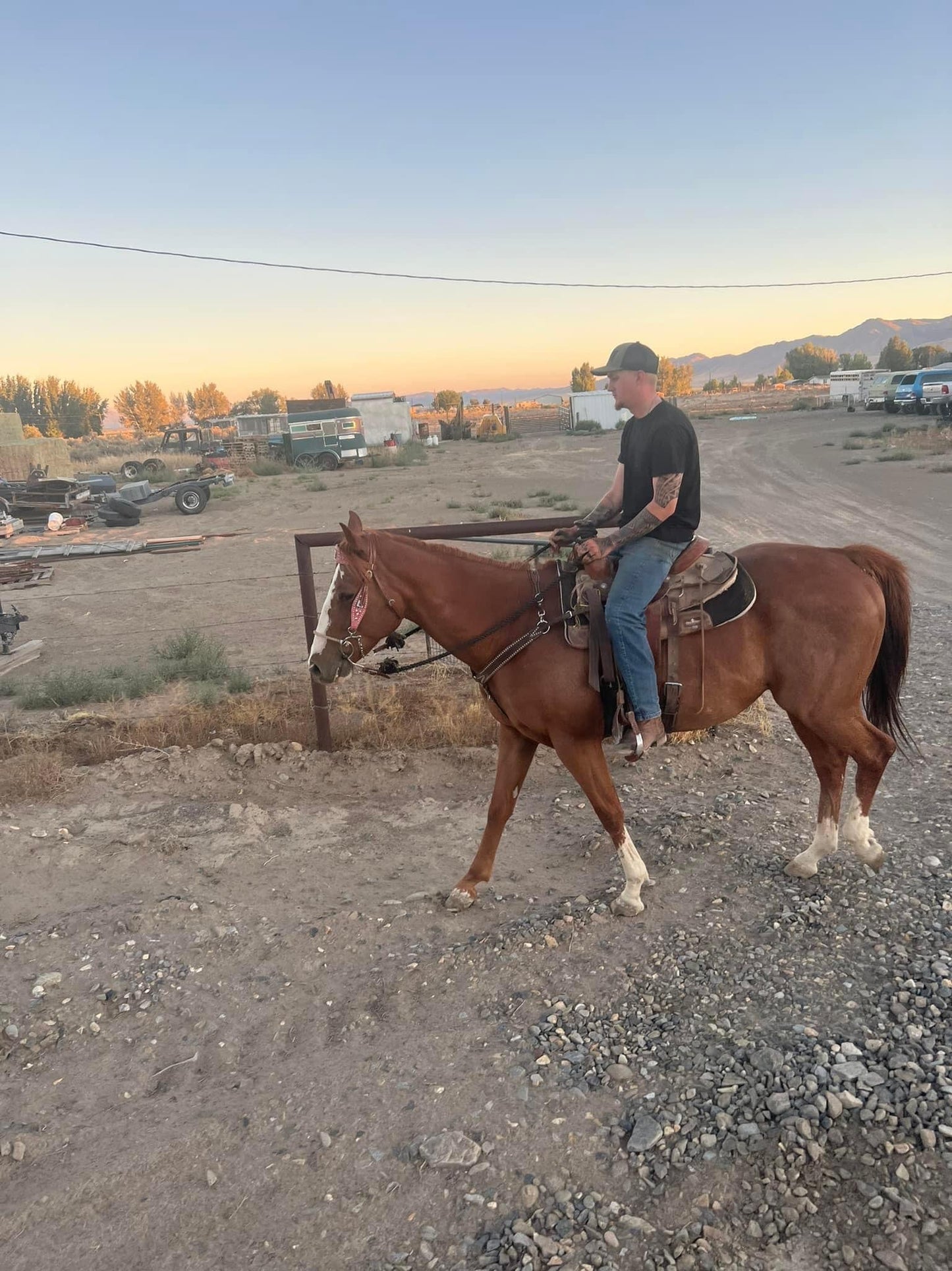 Basic Horse Riding for Adults 18+ IN PERSON