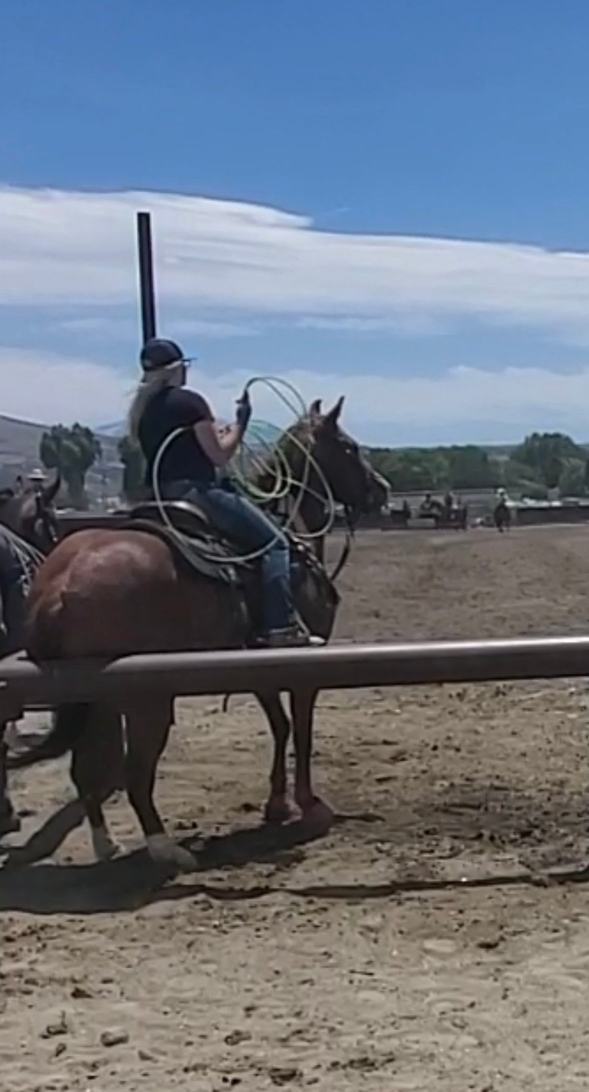 Introduction to Roping IN PERSON