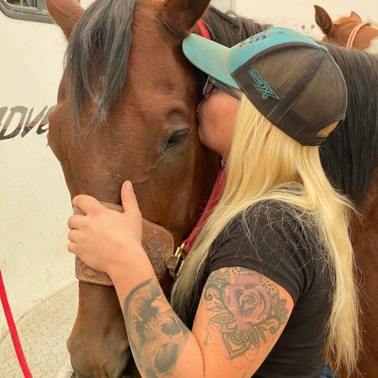 Basic Obedience Horse Training