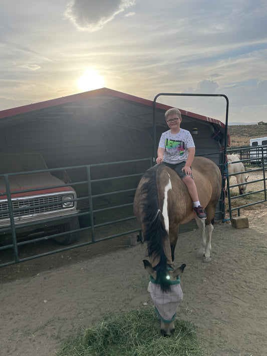 Basic Horse Riding for Kids 17 and Under